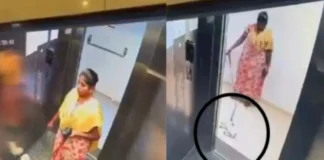 Bengaluru Viral Video: नौकरानी बनी हत्यारन! बेजुबान पप्पी संग बेरहमी देख मुंह को आएगा कलेजा, दरिंदगी की तह तक जाएगी पुलिस Bengaluru Viral Video
