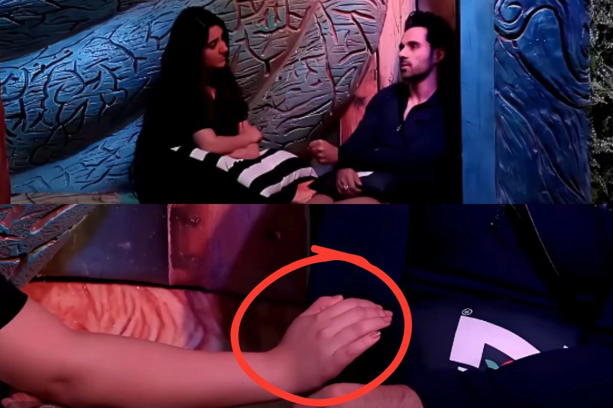 Bigg Boss 19 Bigg Boss 19