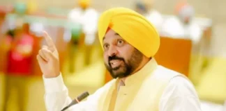 CM Bhagwant Mann ने PSPCL के नवनियुक्त उम्मीदवारों को वांटा नियुक्ति पत्र; उम्मीदवारों से भी की बातचीत; जानें पूरी डिटेल CM Bhagwant Mann