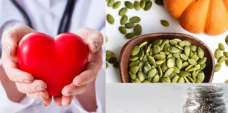 Chia Seeds Vs Pumpkin Seeds: दिल के लिए चिया या कद्दू किसके बीज हैं ज्यादा फायदेमंद ? लंबी जिंदगी के लिए जरुर जानें Chia Seeds Vs Pumpkin Seeds