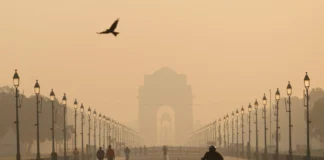 Delhi Air Pollution: नहीं छट रही सफेद धुंध की चादर, दिल्ली-एनसीआर में सांस लेना हुआ मुहाल! लगातार दूसरे दिन 400 से ज्यादा दर्ज हुआ एक्यूआई Delhi Air Pollution