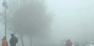Fog Alert 10 Nov 2025: वोटिंग से पहले बिहार में घने कोहरे, शीतलहर का अलर्ट जारी, तो पहाड़ों पर मौसम की मार से मचेगा मौत तांडव; आईएमडी ने जारी की चेतावनी Fog Alert 10 Nov 2025