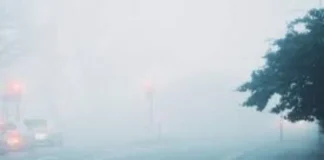Fog Alert 12 Nov 2025: उत्तराखंड में बर्फीली हवाएं बढ़ाएगी परेशानी, तो इन राज्यों में घना कोहरा शीतलहर का डबल अटैक; चेक करें वेदर रिपोर्ट Fog Alert 12 Nov 2025