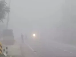 Fog Alert 13 Nov 2025