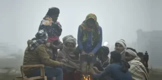 Fog Alert 14 Nov 2025: बद्रीनाथ समेत इन जगहों पर तापमान पहुंचा -16 डिग्री के पार, तो दिल्ली, बिहार में मौसम विभाग का रेड अलर्ट; फटाफट चेक करें वेदर रिपोर्ट Fog Alert 14 Nov 2025