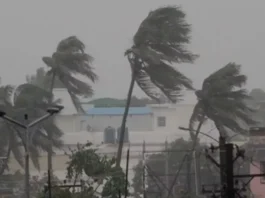 Fog Alert 20 Nov 2025