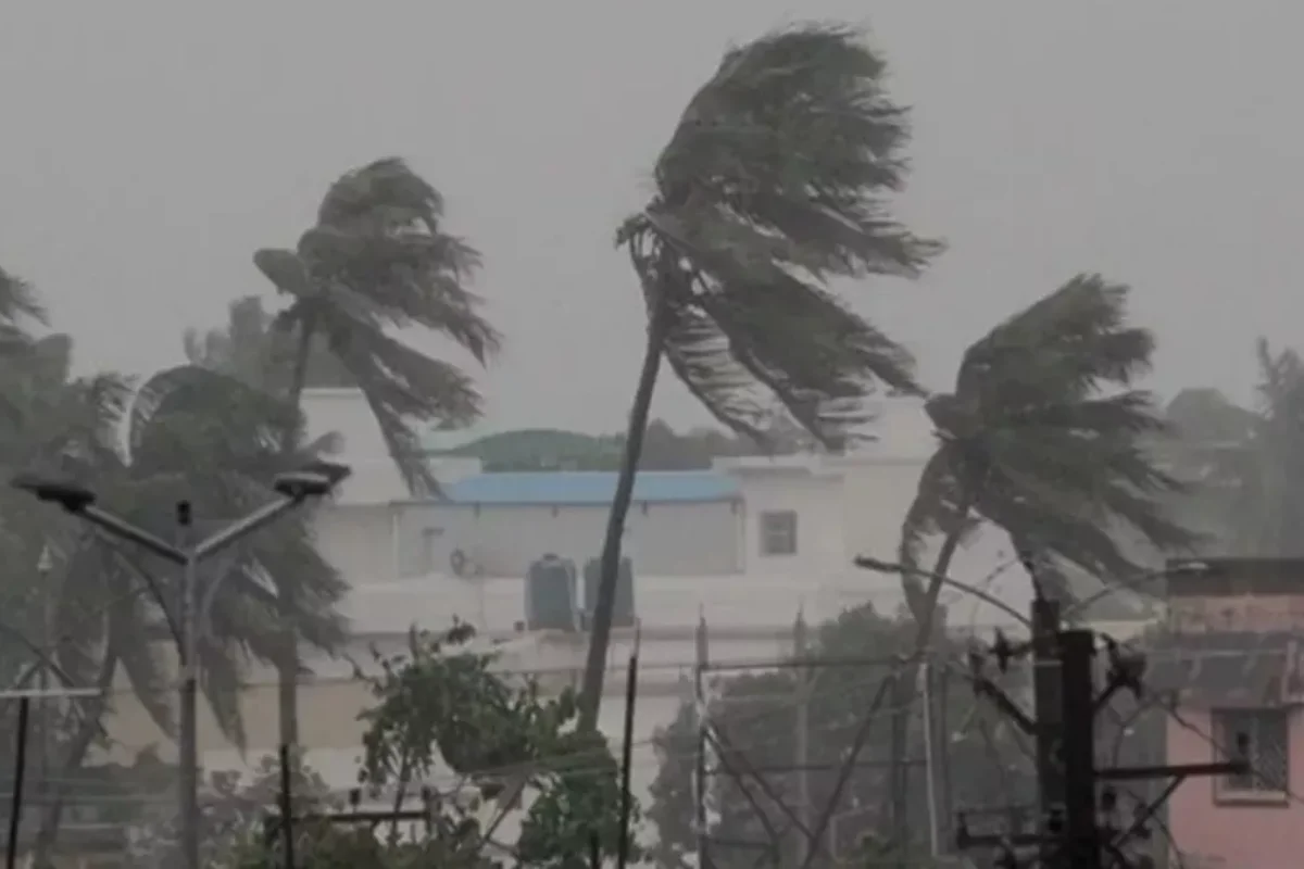 Fog Alert 20 Nov 2025 Fog Alert 20 Nov 2025