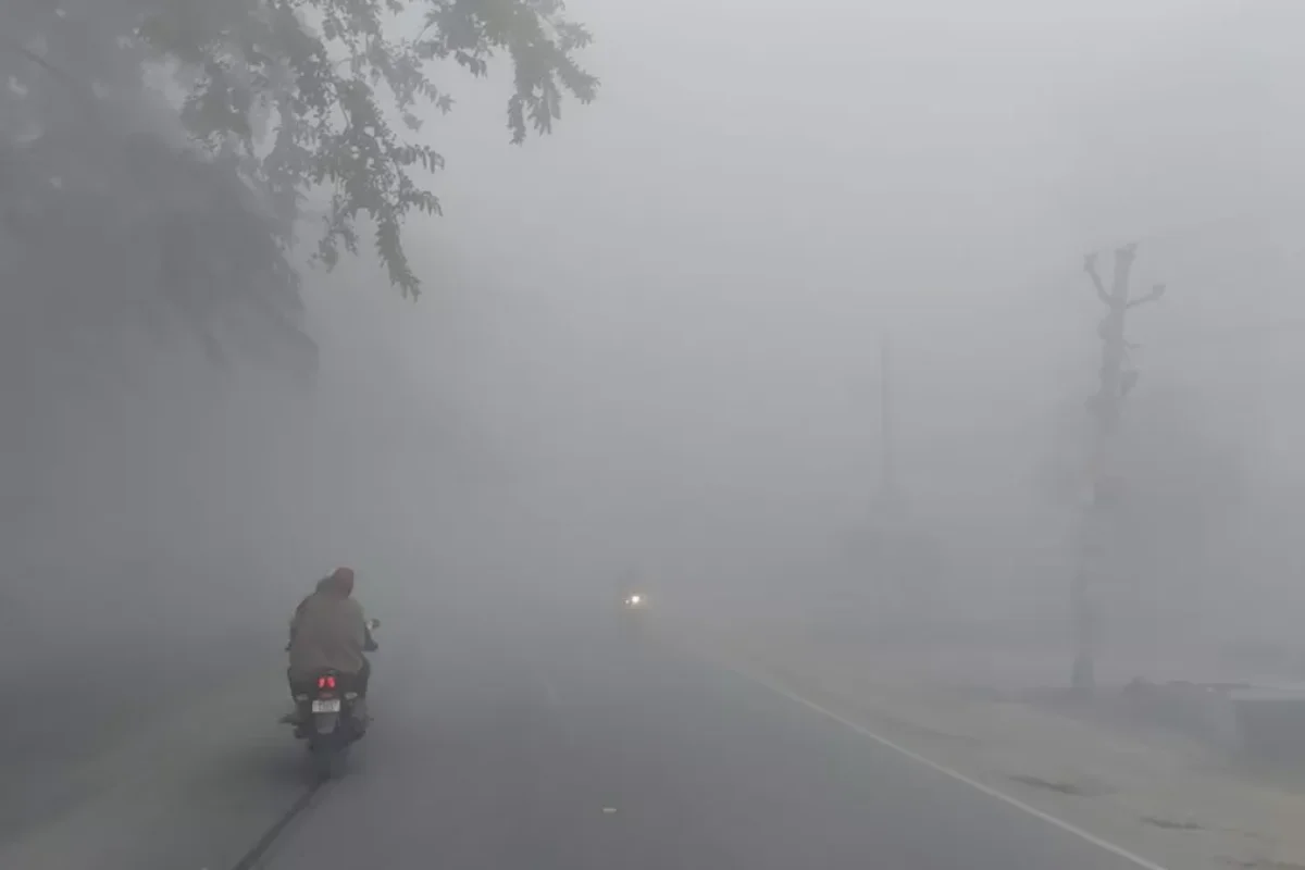 Fog Alert 21 Nov 2025 Fog Alert 21 Nov 2025