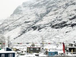 Fog Alert 23 Nov 2025