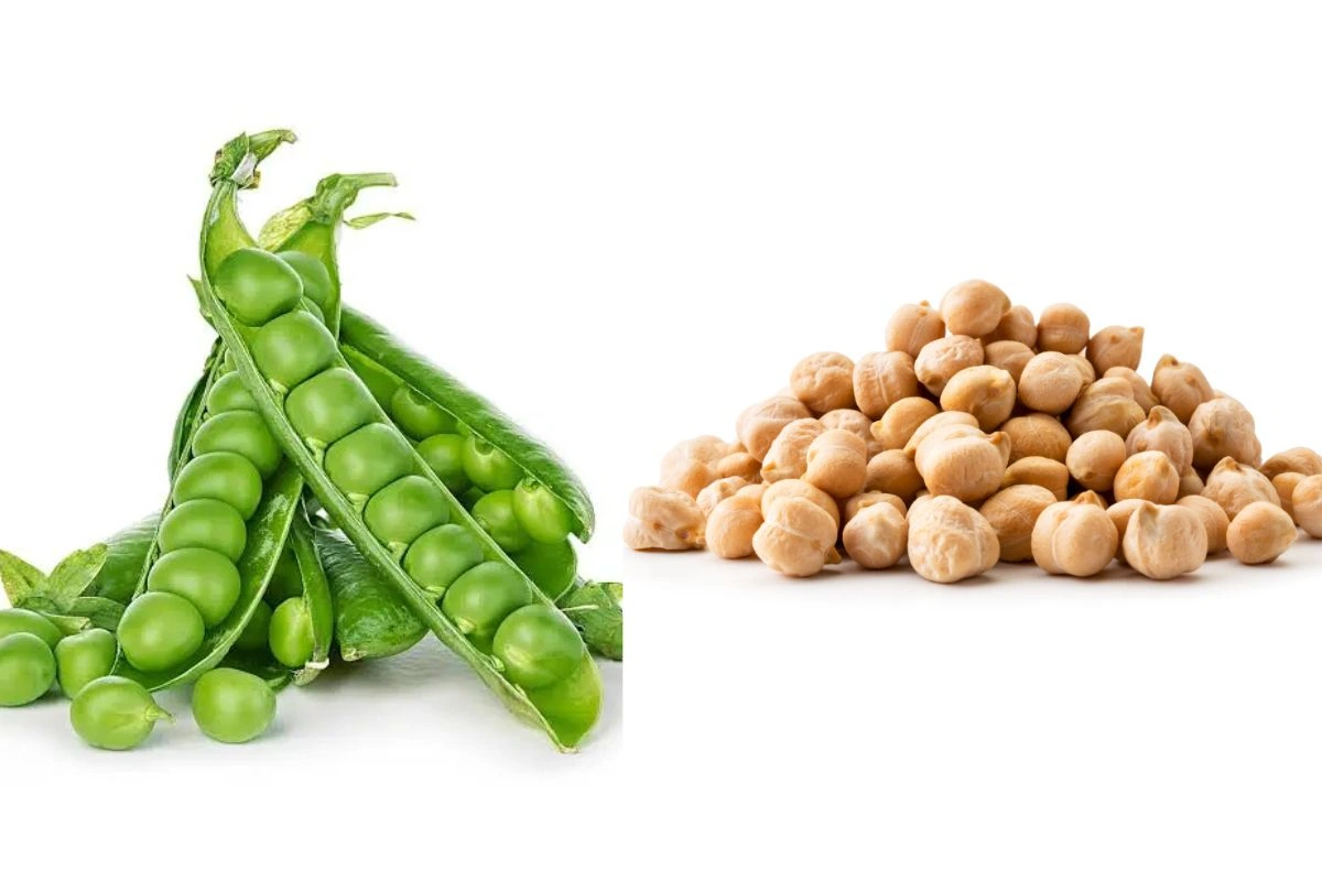 Green Peas vs Chickpeas Green Peas vs Chickpeas