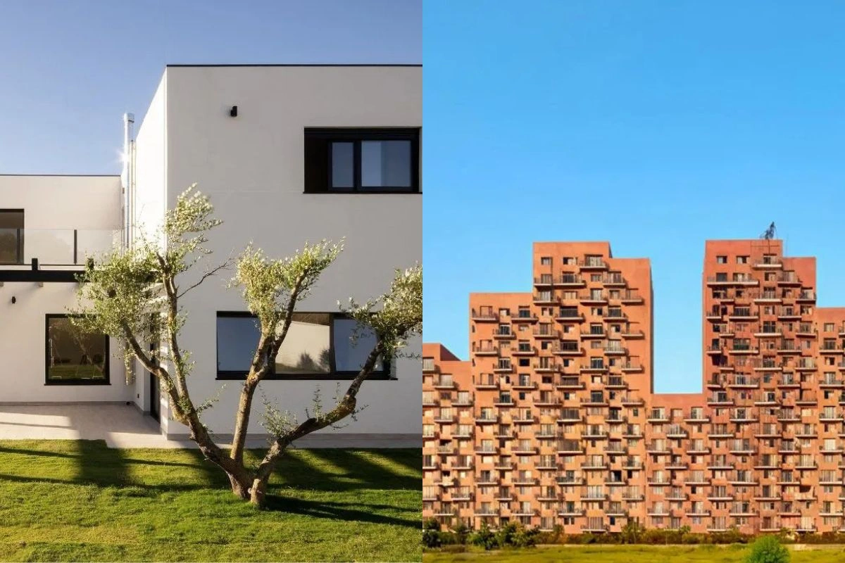 Lucknow News Lucknow News