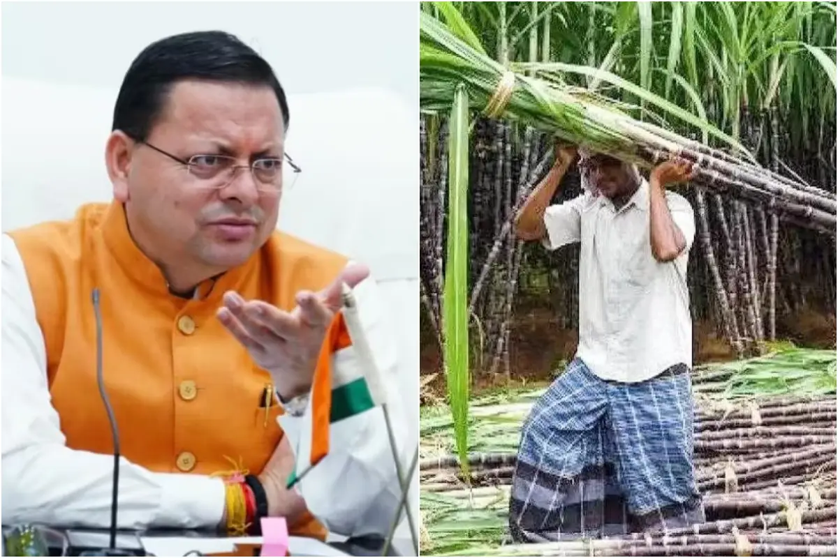 Mukhyamantri Rajya Krishi Vikas Yojana Mukhyamantri Rajya Krishi Vikas Yojana