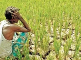 PM Fasal Bima Yojana