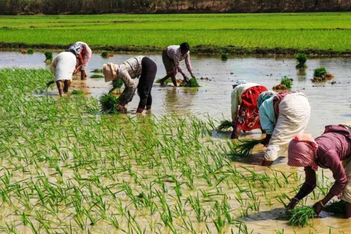 PM Kisan Yojana PM Kisan Yojana