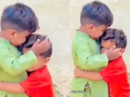 Rajasthan Viral Video