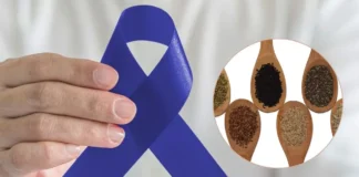 Seeds For Cancer: शॉकिंग! इन 6 सीड्स के सेवन से कैंसर पर पा सकते हैं विजय, खतरनाक बीमारी के लिए है लक्ष्मण रेखा Seeds For Cancer