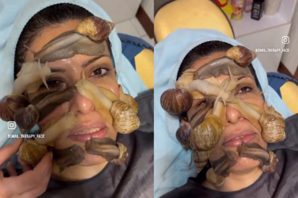 Snail Skin Therapy Snail Skin Therapy
