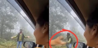 Viral Video: ब्यॉयफ्रेंड को लड़की ने मौत के मुंह में धकेला, देखें कैसे जंगल में उतारकर बाघ से खिलवाया? Viral Video