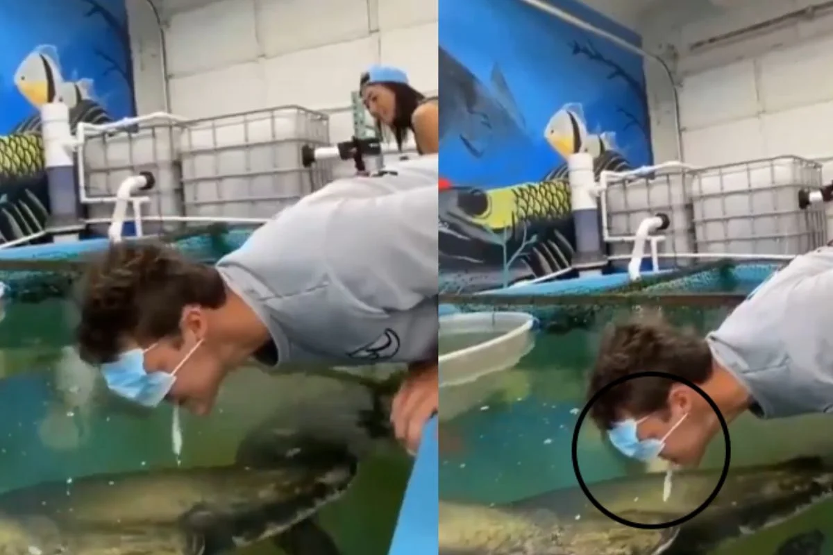 Viral Video Viral Video