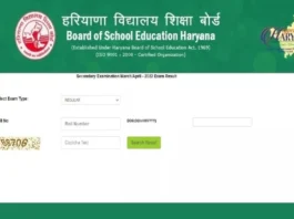 HBSE Result 2025 (प्रतीकात्मक तस्वीर)