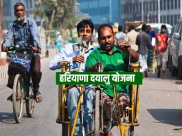 Haryana Dayalu Yojana (प्रतीकात्मक तस्वीर)