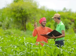 Mukhyamantri Kisan Kalyan Yojana -( प्रतीकात्मक तस्वीर)