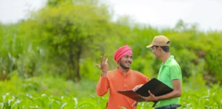 Mukhyamantri Kisan Kalyan Yojana: मध्य प्रदेश के किसानों के लिए बड़ी खुशखबरी, 12000 रुपये पाने के लिए फटाफट करें ये काम Mukhyamantri Kisan Kalyan Yojana -( प्रतीकात्मक तस्वीर)