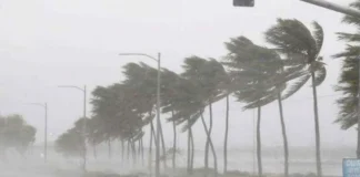 कल का मौसम 22 Nov 2025: दक्षिण राज्यों में चक्रवाती तूफान से मचेगी भयंकर तबाही, तो बिहार समेत इन राज्यों में बारिश और शीतलहर का डबल अटैक; जानें आईएमडी रिपोर्ट कल का मौसम 22 Nov 2025