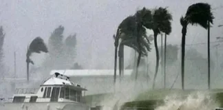 कल का मौसम 23 Nov 2025: खाड़ी में उठ रहे चक्रवाती तूफान से इन राज्यों में भयंकर तबाही का आलम! तो दिल्ली समेत इन जगहों पर लुढ़केगा पारा; जानें आईएमडी रिपोर्ट कल का मौसम 23 Nov 2025