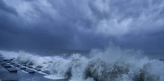 कल का मौसम 24 Nov 2025: अगले 24 घंटे के अंदर इन राज्यों में दस्तक देगा चक्रवाती तूफान, तो दिल्ली में इस दिन से कड़ाके की सर्दी मचाएगी तांडव; चेक करें आईएमडी रिपोर्ट कल का मौसम 24 Nov 2025