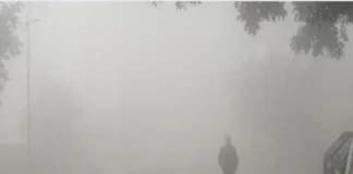 कल का मौसम 7 Nov 2025: दिल्लीवासी सावधान! राजधानी में शीतलहर, घने कोहरे से बढ़ेगी परेशानी, तो इन राज्यों में बारिश के साथ तूफान मचाएगा तांडव; जानें आईएमडी रिपोर्ट कल का मौसम 7 Nov 2025