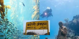 Bareilly News: बरेली में मिनी समुन्द्र बसाकर सीएम योगी आदित्यनाथ बदलेंगे यूपी की पहचान , महाप्लान जानकर बाबा के हो जाएंगे फैंन Bareilly News