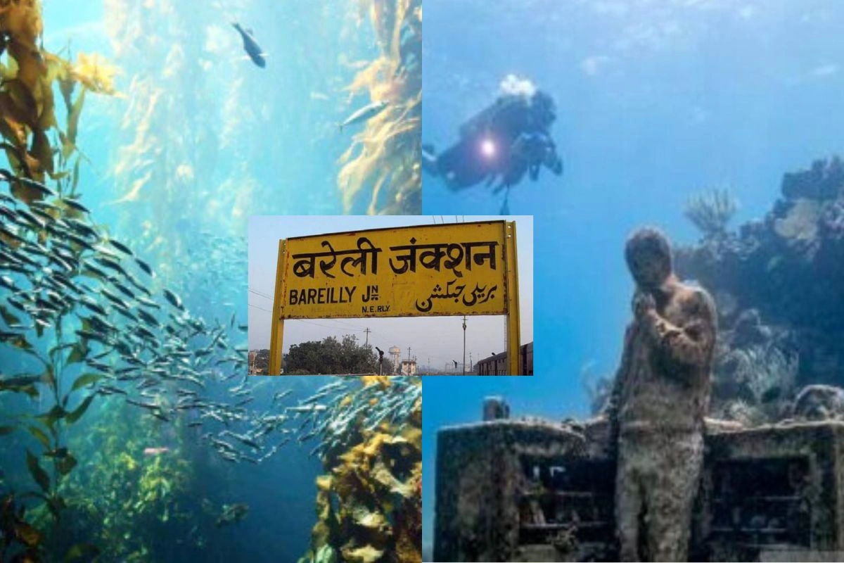 Bareilly News Bareilly News