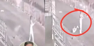 Bengaluru Viral Video: हार्ट अटैक से पति को बचाने के लिए डॉक्टरों के चक्कर काटती रही बीवी, अंत में एक्सीडेंट ने ली जान, देखें दर्दनाक वीडियो Bengaluru Viral Video