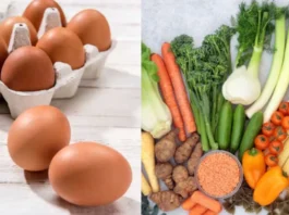 Best Egg Alternative for Protein