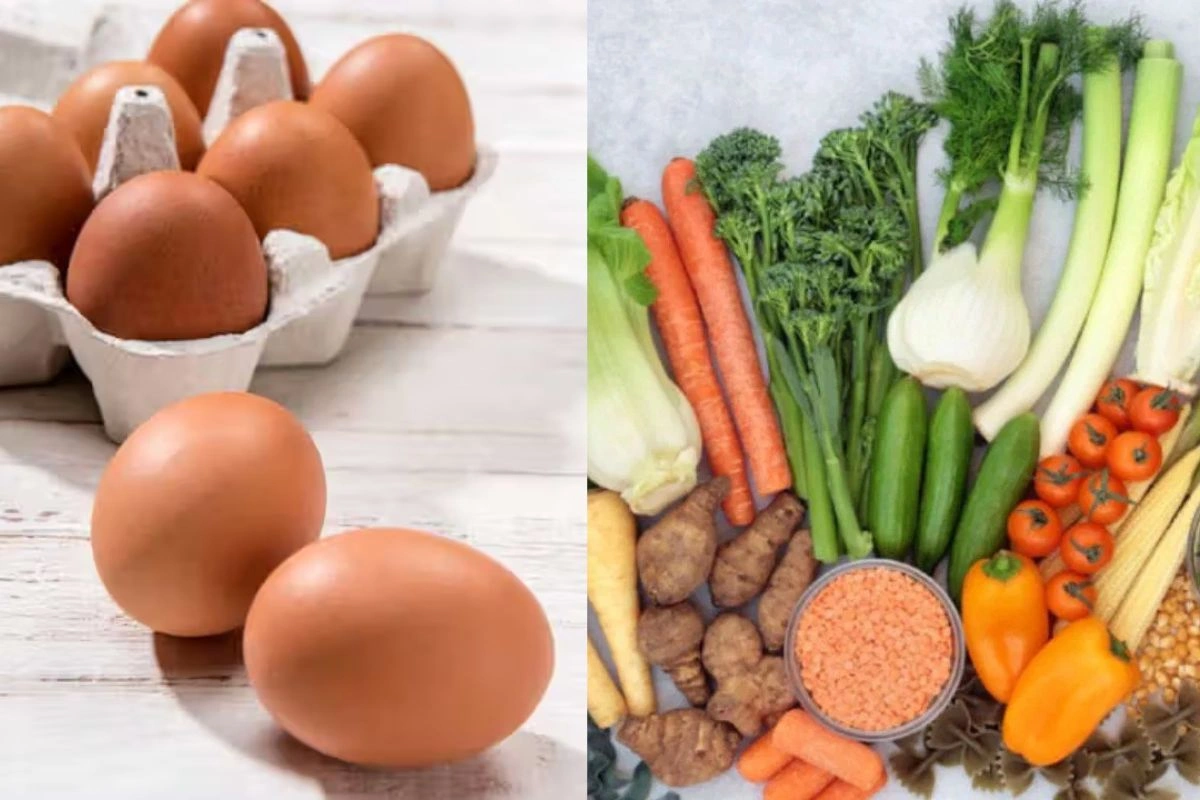 Best Egg Alternative for Protein Best Egg Alternative for Protein