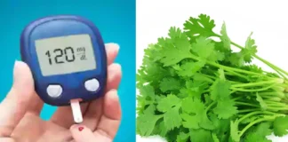 Coriander Benefits: स्वाद के साथ डायबिटीज सहित इन बीमारियों का सफाया करता है हरा धनिया, जाने कैसे करें सेवन Coriander Benefits