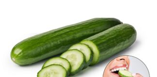 Cucumber Benefits: एक्सपर्ट ने क्यों खीरे की कर दी हीरे से तुलना, जानें कब यह खाना बन सकता है जहर Cucumber Benefits