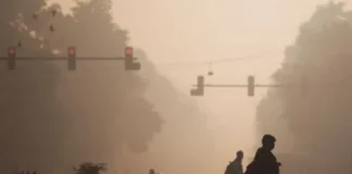 Delhi Air Pollution: दिल्ली-एनसीआर में घर से बाहर निकलना मना है! दमघोंटू हवा के बीच ग्रैप-4 की पाबंदियां लागू; इन चीजों पर रहेगी रोक Delhi Air Pollution
