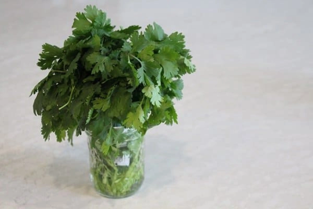 Detox Water Detox Water