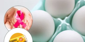 Egg Test: एगोज ही नहीं क्या सभी अंडे को खाने से है कैंसर का खतरा, जानिए सुपरफूड को लेकर सच्चाई Egg Test