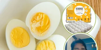 Egg Test: अगर एगोज का पर्दाफाश अमेरिका में होता तो क्या मचता बवाल, कैंसर और फर्टिलिटी के लिए रिस्की अंडे पर एक्सपर्ट ने निकाली भड़ास Egg Test