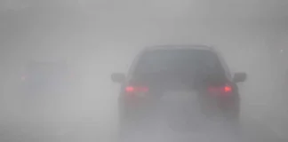 Fog Alert 1 Jan 2026: उत्तर प्रदेश से बिहार तक घने कोहरे से हाहाकार, तो इन राज्यों में शीतलहर के आंतक से घबराए लोग; जानें वेदर रिपोर्ट Fog Alert 1 Jan 2026