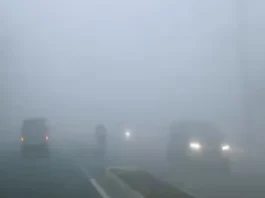 Fog Alert 11 Dec 2025