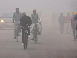 Fog Alert 12 Dec 2025