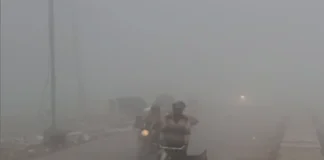 Fog Alert 13 Dec 2025: बिहार, झारखंड में सर्द हवाओं ने लोगों की बढ़ाई टेंशन, तो इन जगहों पर लो विजिबिलिटी से आम जनजीवन प्रभावित; जानें वेदर रिपोर्ट Fog Alert 13 Dec 2025