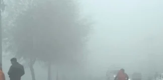 Fog Alert 15 Dec 2025: अगले 24 घंटे दिल्ली, हरियाणा में घने कोहरे की चेतावनी, तो इन राज्यों में लुढ़का तापमान; ड्राइविंग करते वक्त इन बातों को ना करें इग्नोर Fog Alert 15 Dec 2025