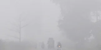 Fog Alert 17 Dec 2025: घने कोहरे की चादर से लिपटा यूपी, बिहार, तो इन जगहों में शीतलहर से हड्डी गलाने देने वाली ठंड की हुई शुरूआत; जानें देशभर का वेदर रिपोर्ट Fog Alert 17 Dec 2025