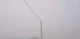 Fog Alert 21 Dec 2025: पंजाब में बारिश, तो इन राज्यों में कोहरा मचाएगा कोहराम, आईएमडी वैज्ञानिक नरेश कुमार ने दी खतरनाक चेतावनी; जानें वेदर रिपोर्ट Fog Alert 21 Dec 2025