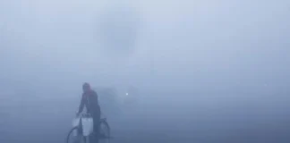 Fog Alert 29 Dec 2025: घने कोहरे के आतंक से इन राज्यों में छाया सन्नाटा, जानें बिहार, झारखंड के मौसम का हाल; वेदर रिपोर्ट देखकर ही घर से निकले बाहर Fog Alert 29 Dec 2025